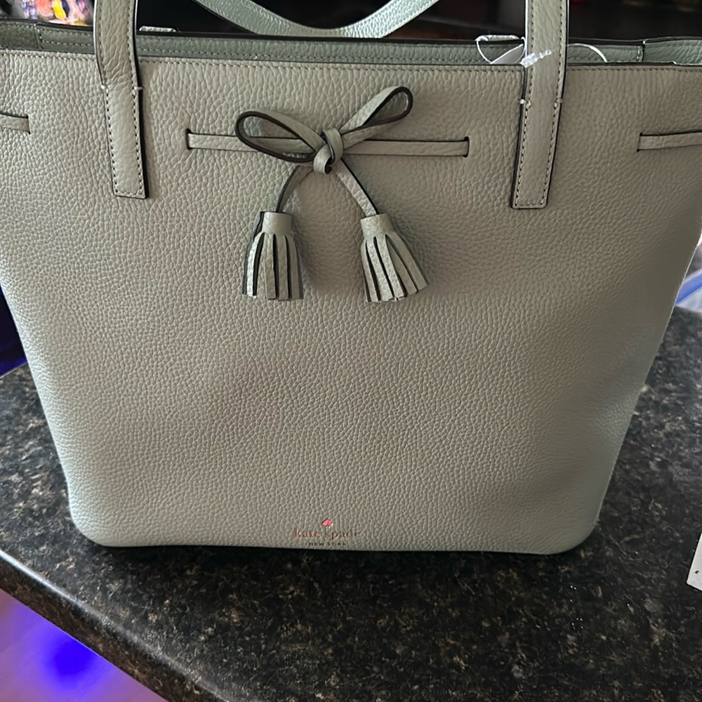 Brand new with tags…no dust cover Kate Spade tote. Mint green
